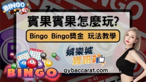 賓果賓果BINGO BINGO怎麼玩才賺錢?獎金計算、玩法教學