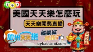 【美國天天樂】下注、地下賠率、玩法教學｜附天天樂開獎直播平台