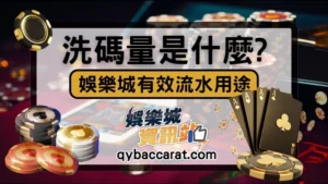 洗碼量意思